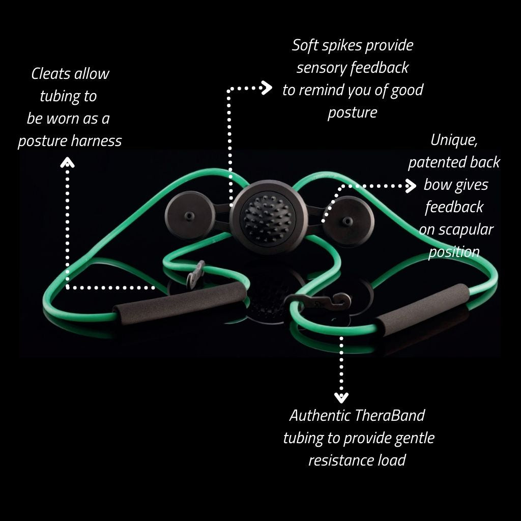 グラビティフィット新モデル（Gravity Fit TPro 2.0） GravityFit Tpro 2.0 ゴルフ スイング 練習 器具 矯正 体幹